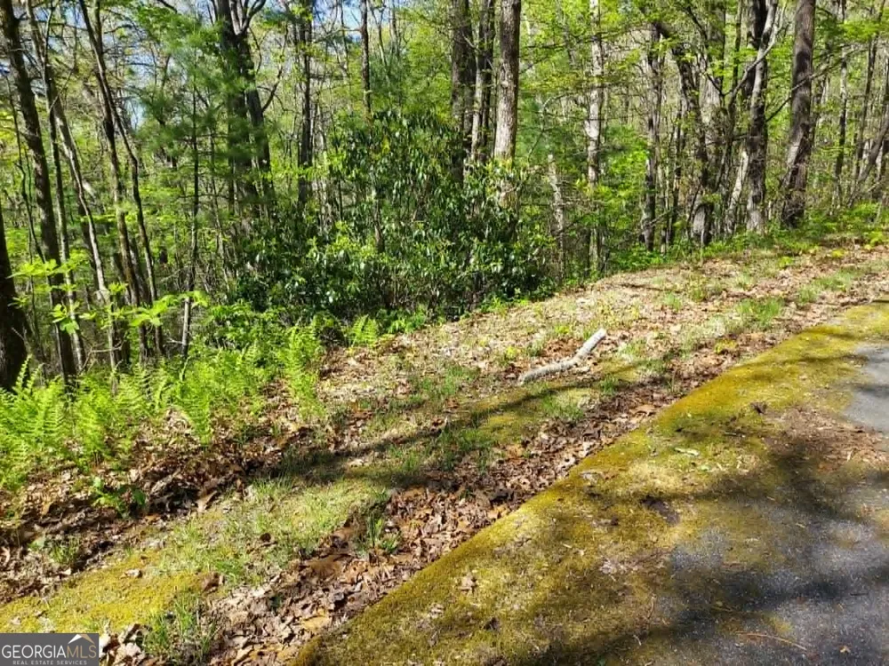 0 LOT 40 Pipetrack Gap RD Scaly Mtn, NC 28775