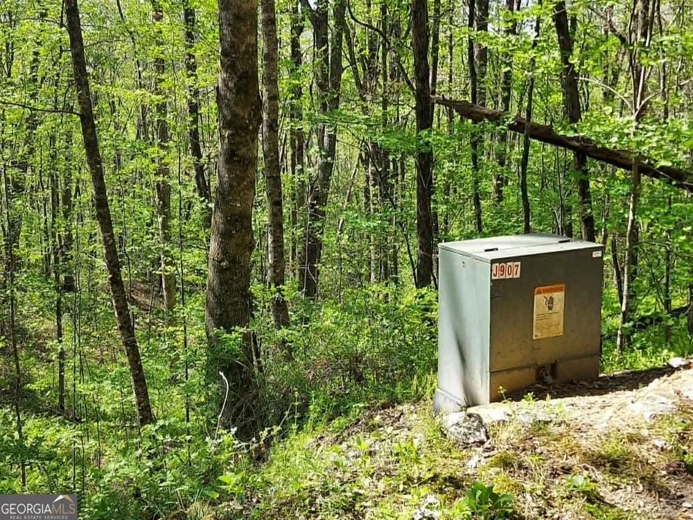 0 LOT 40 Pipetrack Gap RD Scaly Mtn, NC 28775