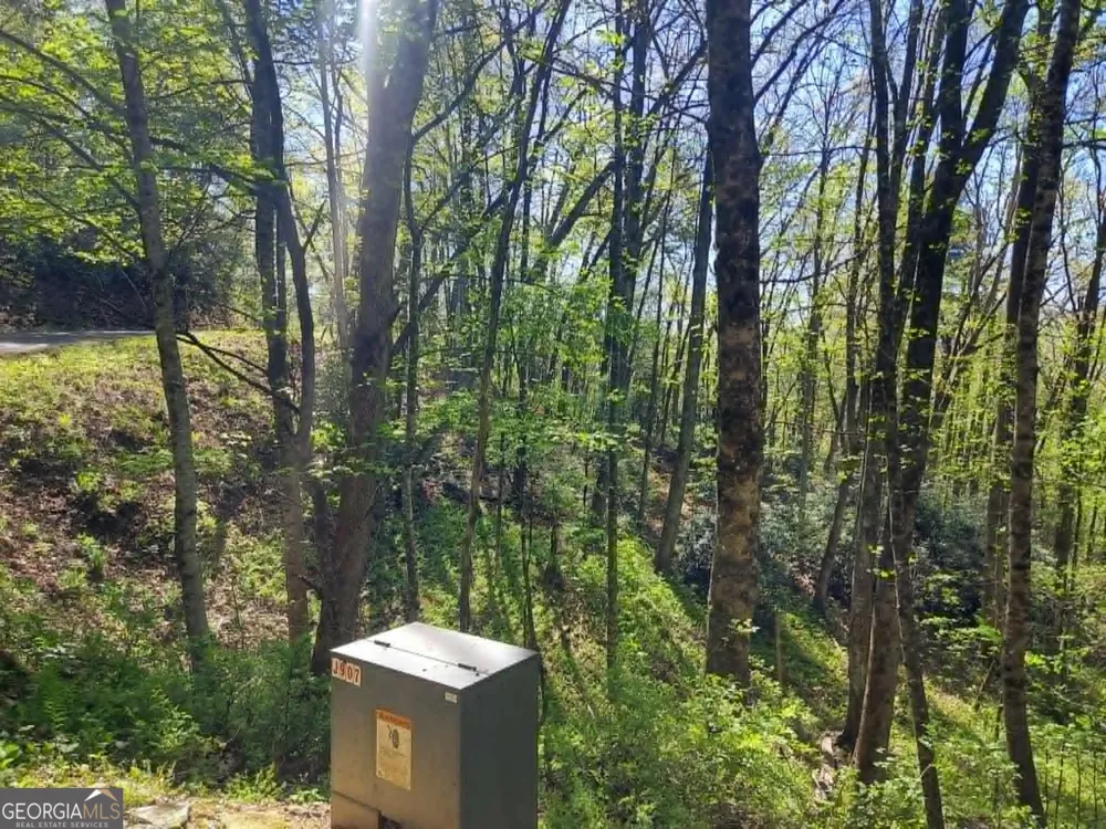0 LOT 40 Pipetrack Gap RD Scaly Mtn, NC 28775