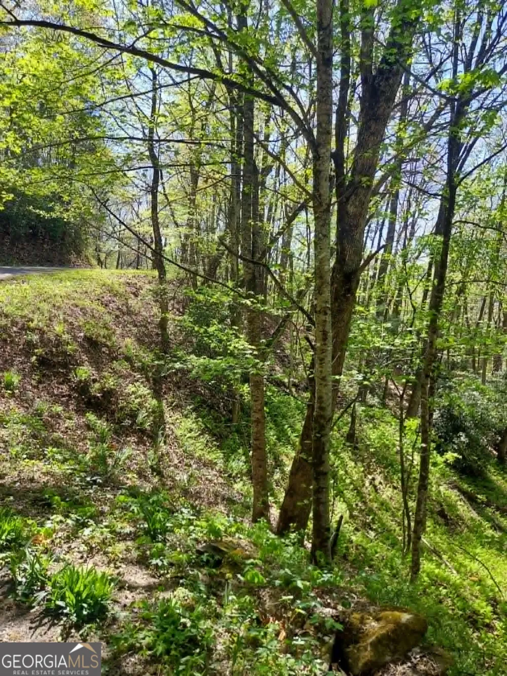 0 LOT 40 Pipetrack Gap RD Scaly Mtn, NC 28775