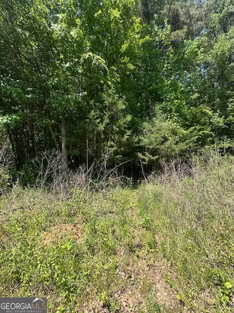 0 Mize RD Commerce, GA 30529
