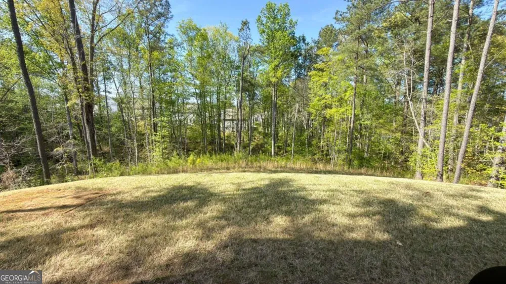 832 Brown Thrasher WAY Bremen, GA 30110