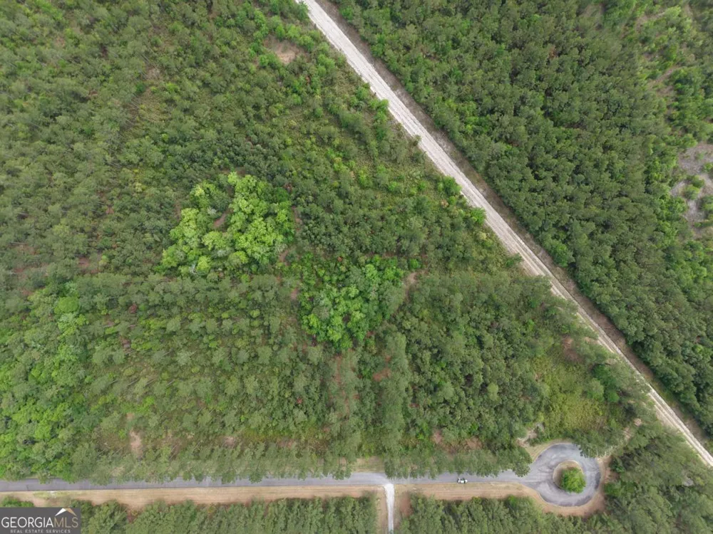 LOT 6 La Vento LN Waverly, GA 31565