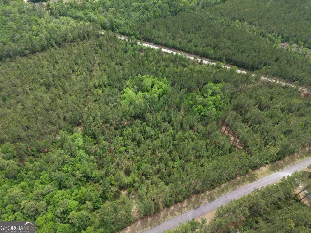 LOT 6 La Vento LN Waverly, GA 31565