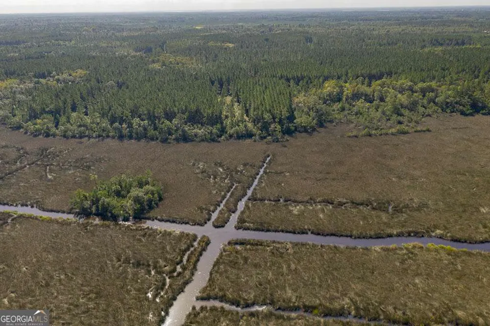 LOT 6 La Vento LN Waverly, GA 31565