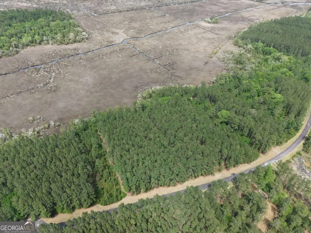 LOT 43 La Sole LN Waverly, GA 31565