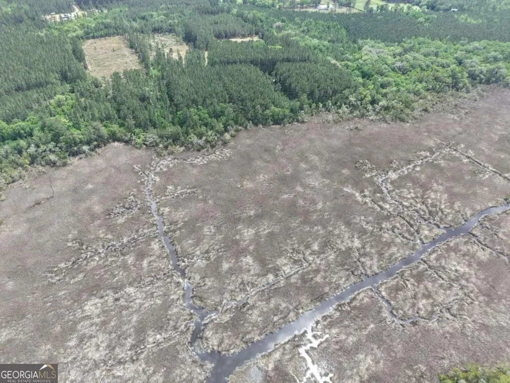LOT 43 La Sole LN Waverly, GA 31565