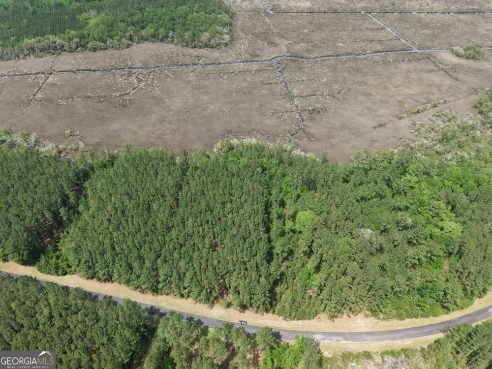 LOT 43 La Sole LN Waverly, GA 31565