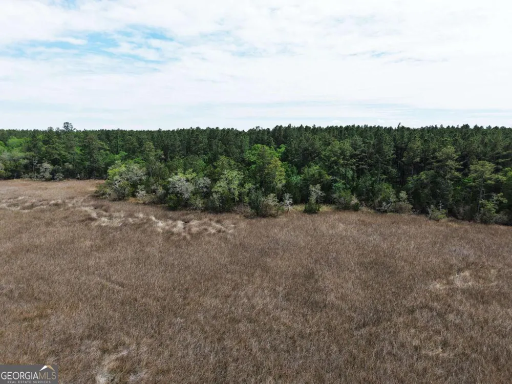 LOT 43 La Sole LN Waverly, GA 31565