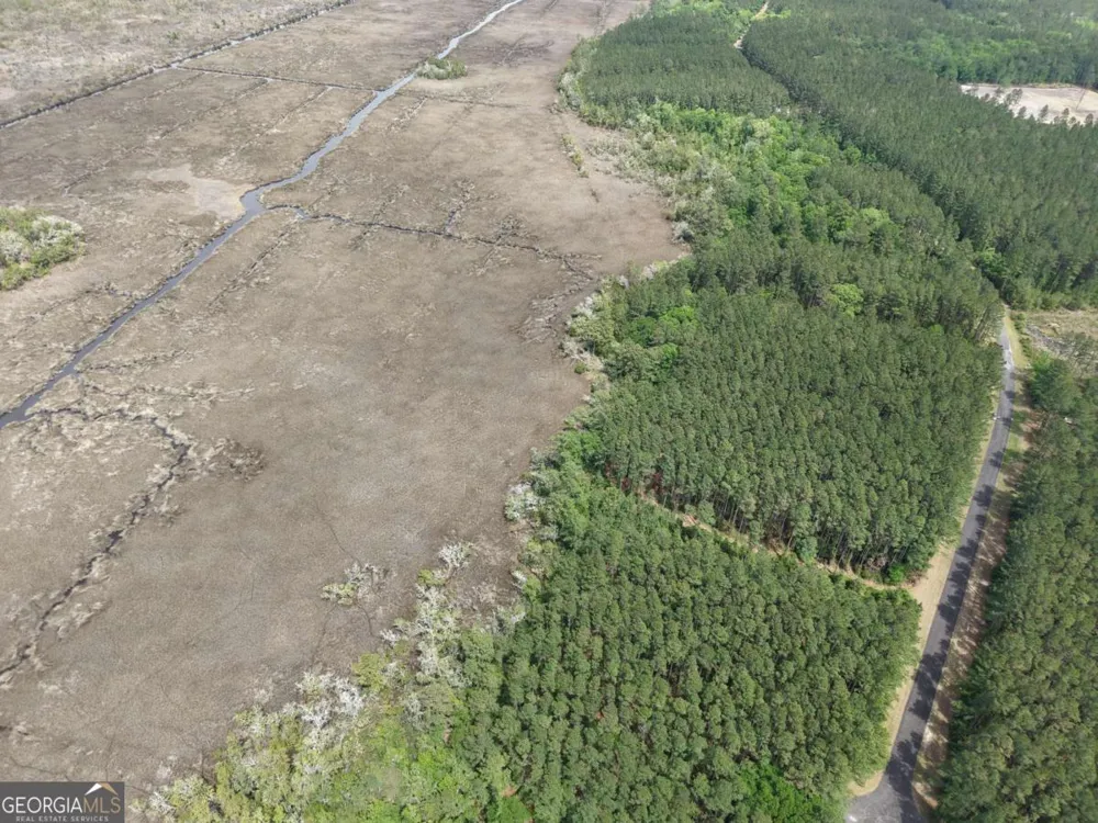 LOT 43 La Sole LN Waverly, GA 31565