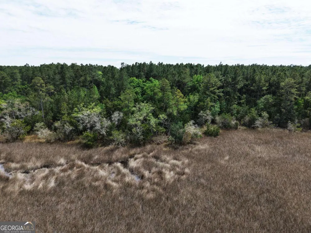 LOT 43 La Sole LN Waverly, GA 31565