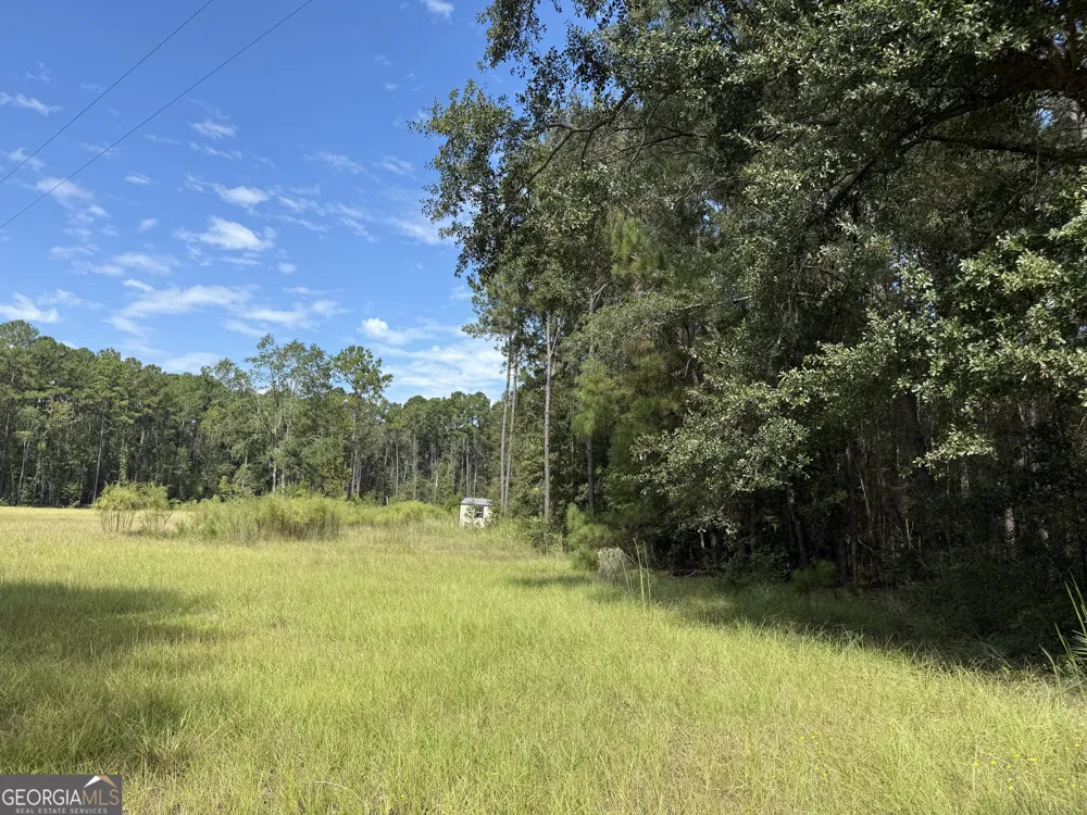 124 Oak ST Rincon, GA 31326