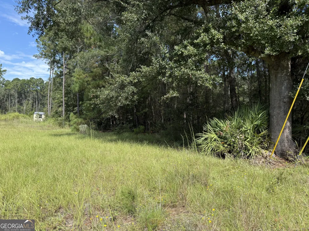 124 Oak ST Rincon, GA 31326