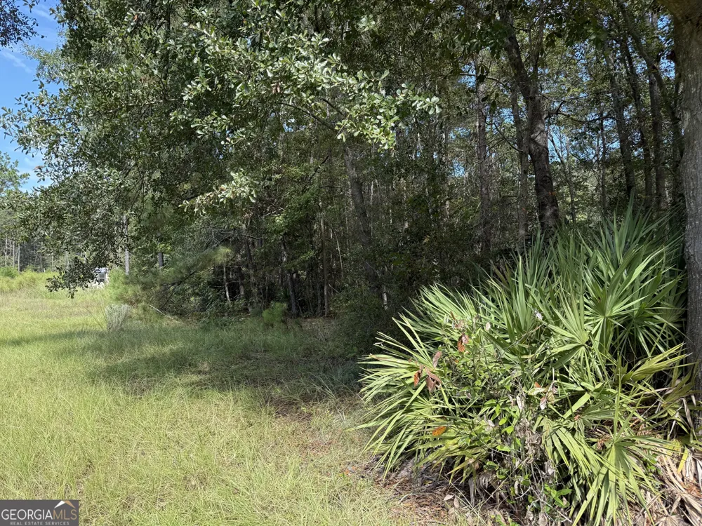 124 Oak ST Rincon, GA 31326