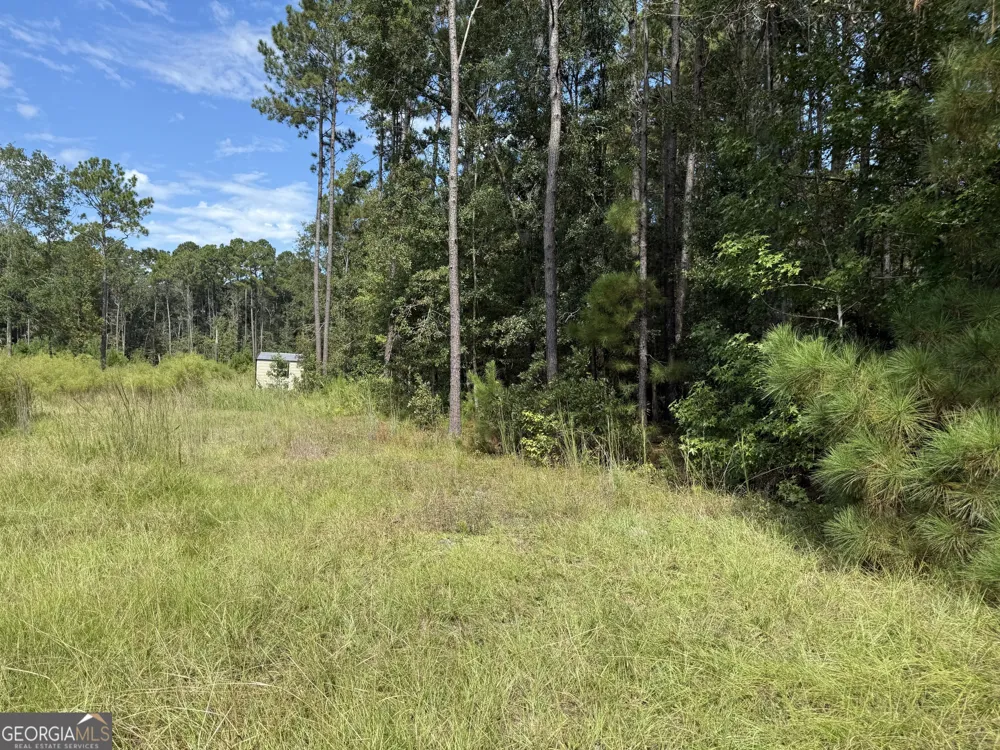 124 Oak ST Rincon, GA 31326