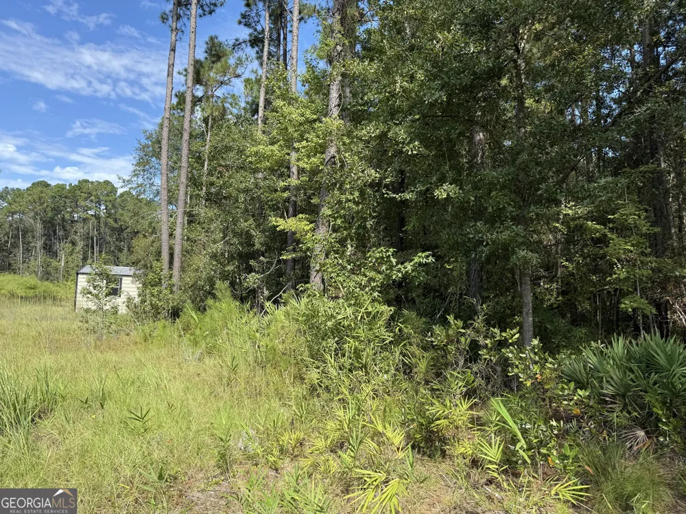 124 Oak ST Rincon, GA 31326