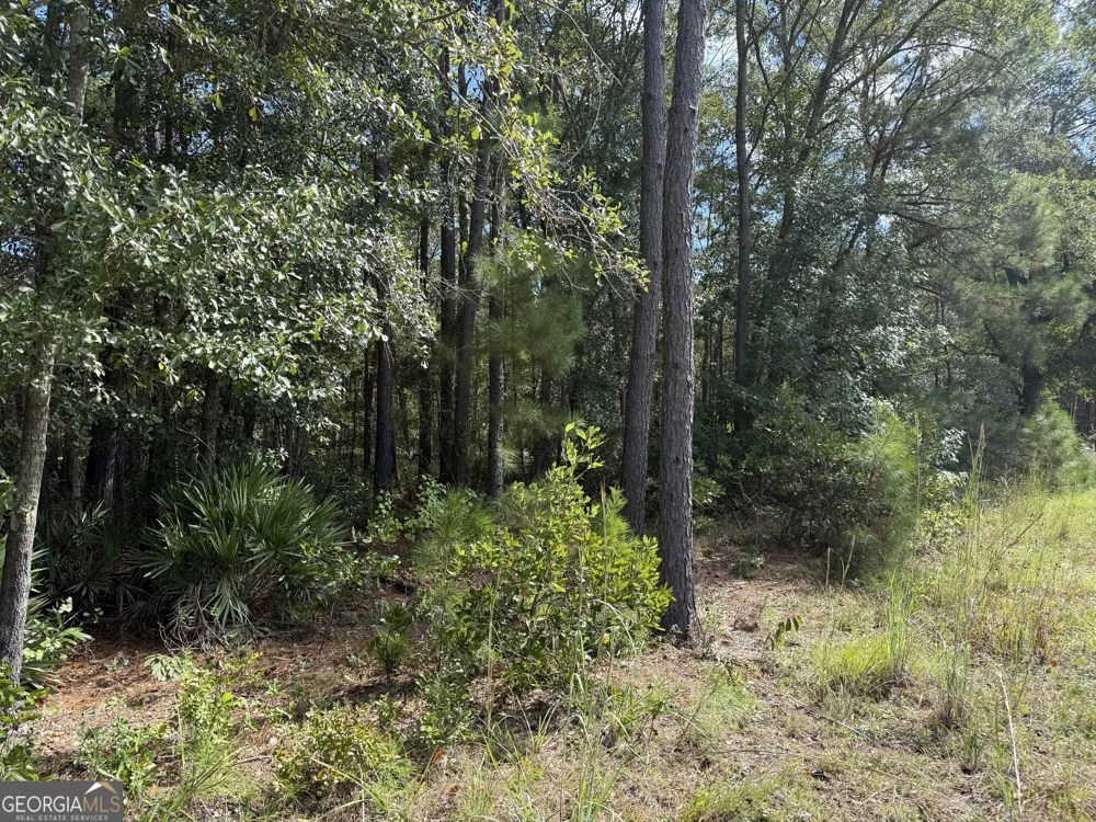 124 Oak ST Rincon, GA 31326