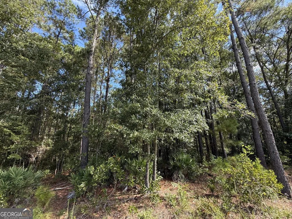 124 Oak ST Rincon, GA 31326