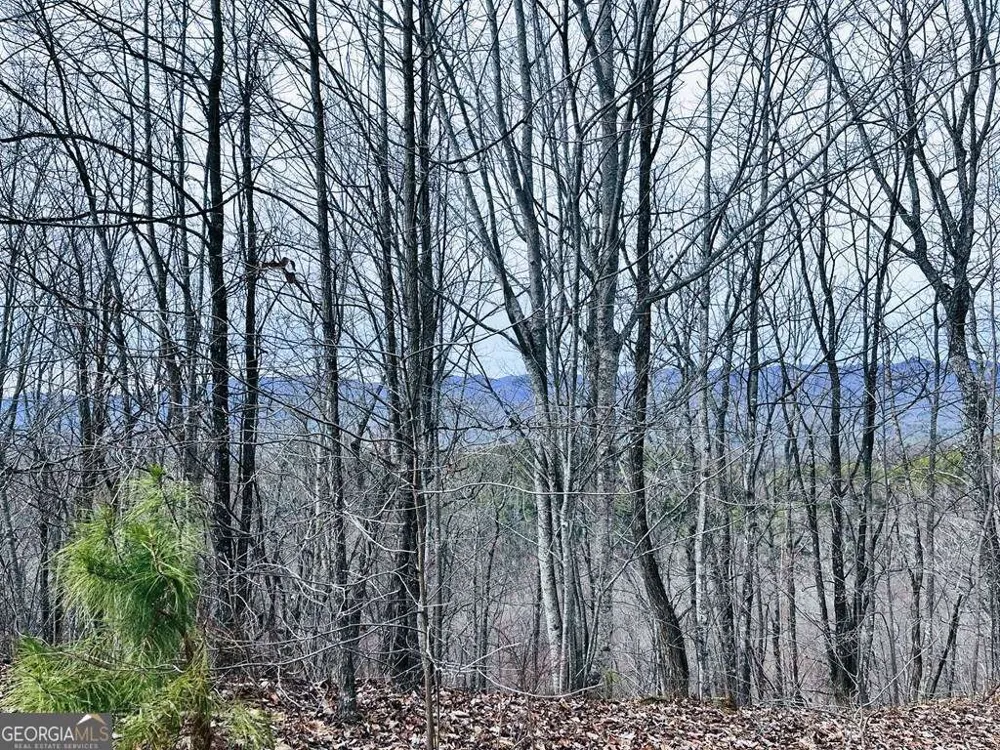1441 Valley View Heights LN Andrews, NC 28901