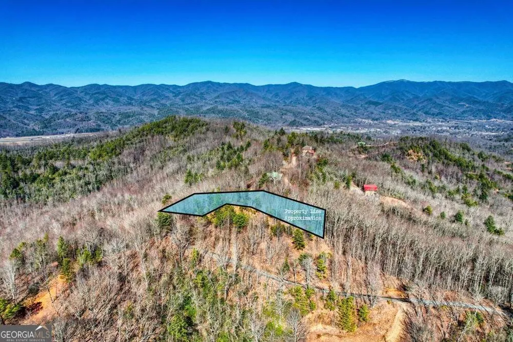 1441 Valley View Heights LN Andrews, NC 28901