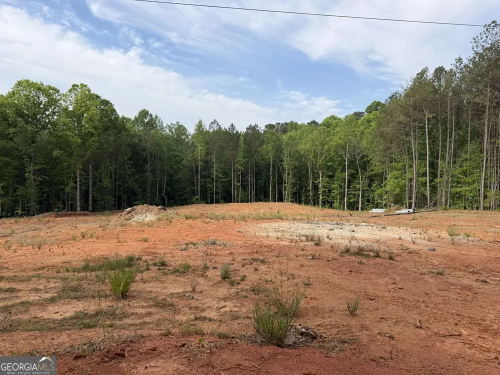1518 English RD Forsyth, GA 31029