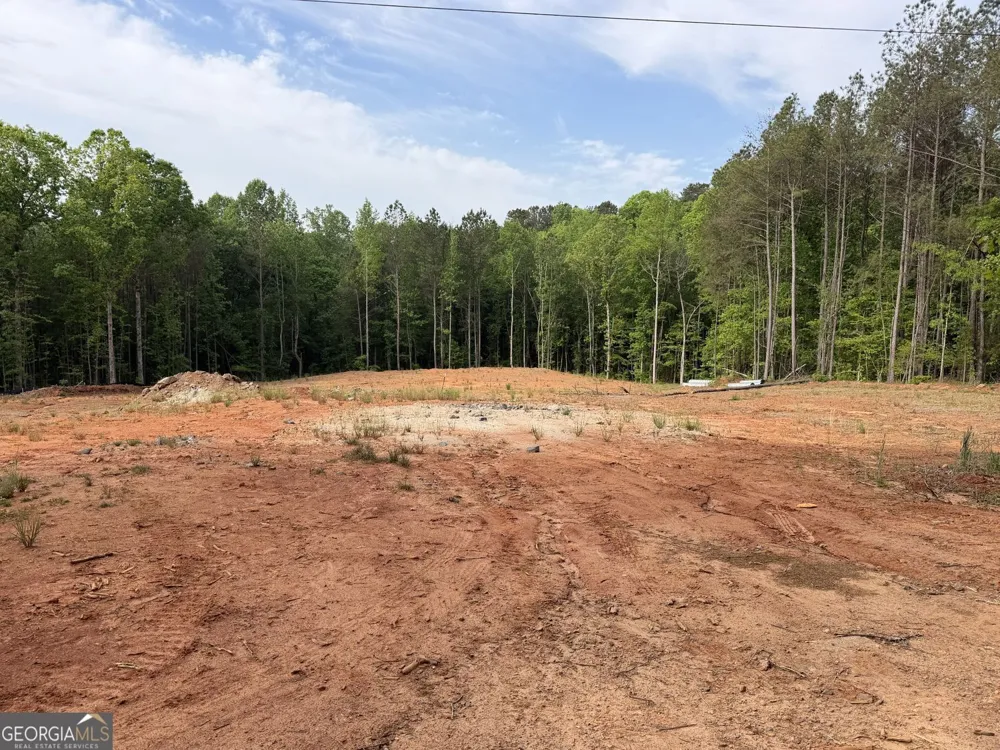 1518 English RD Forsyth, GA 31029