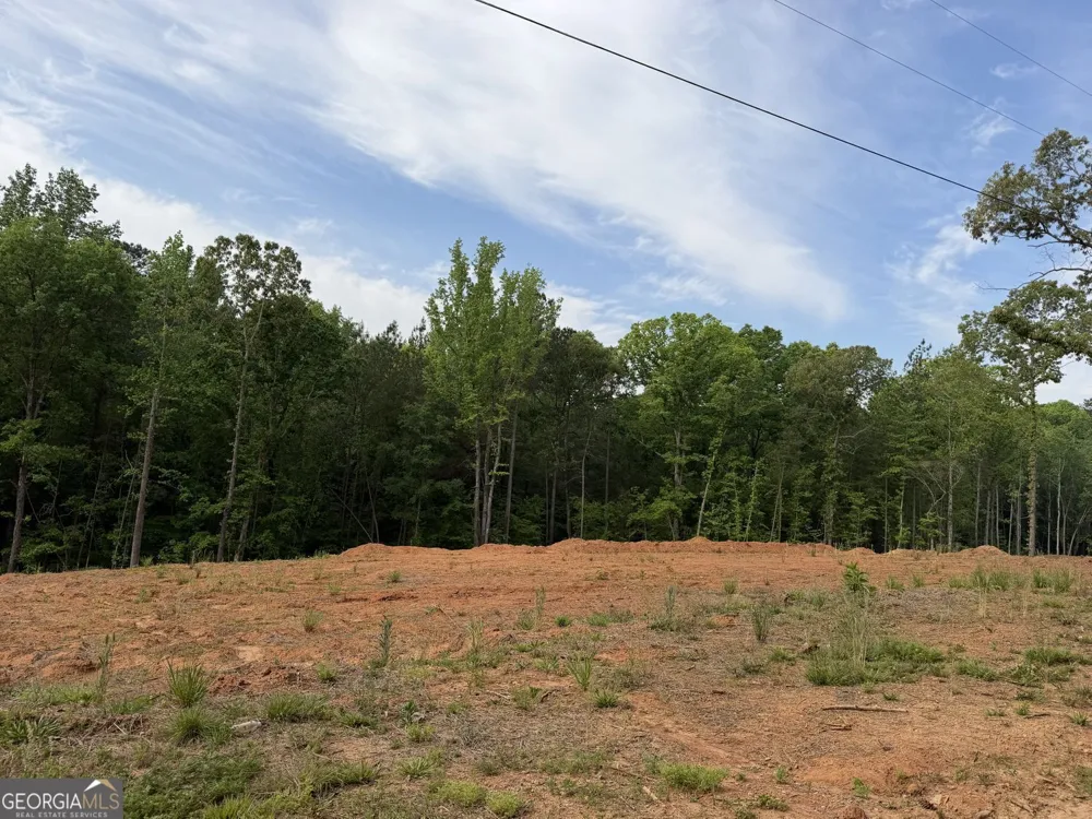 1492 English RD Forsyth, GA 31029