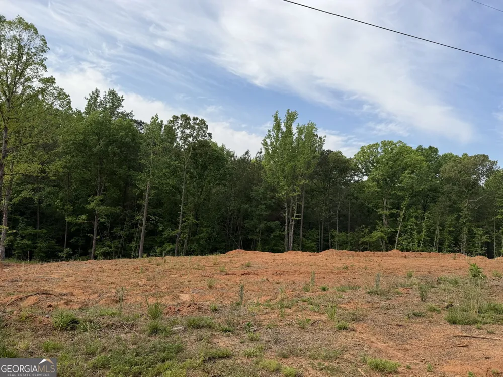 1492 English RD Forsyth, GA 31029
