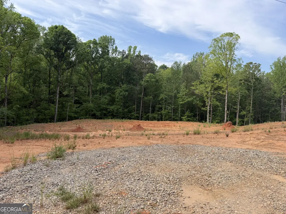 1476 English RD Forsyth, GA 31029