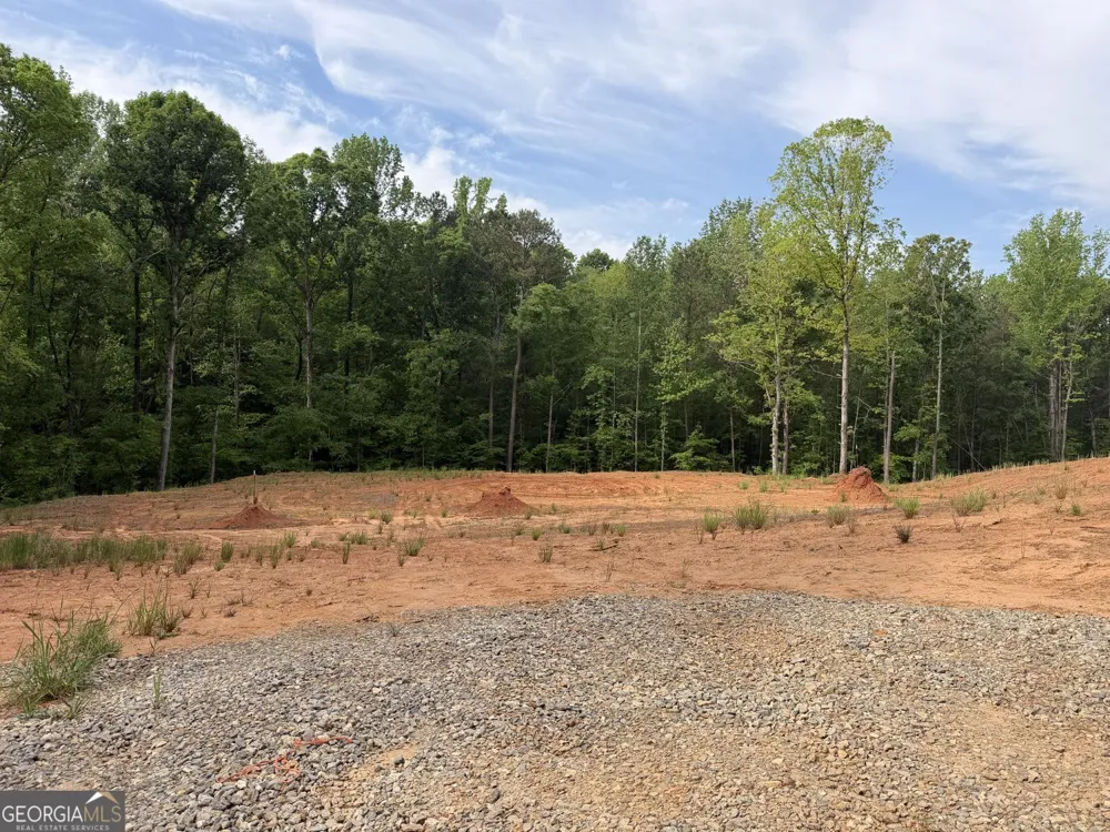 1476 English RD Forsyth, GA 31029