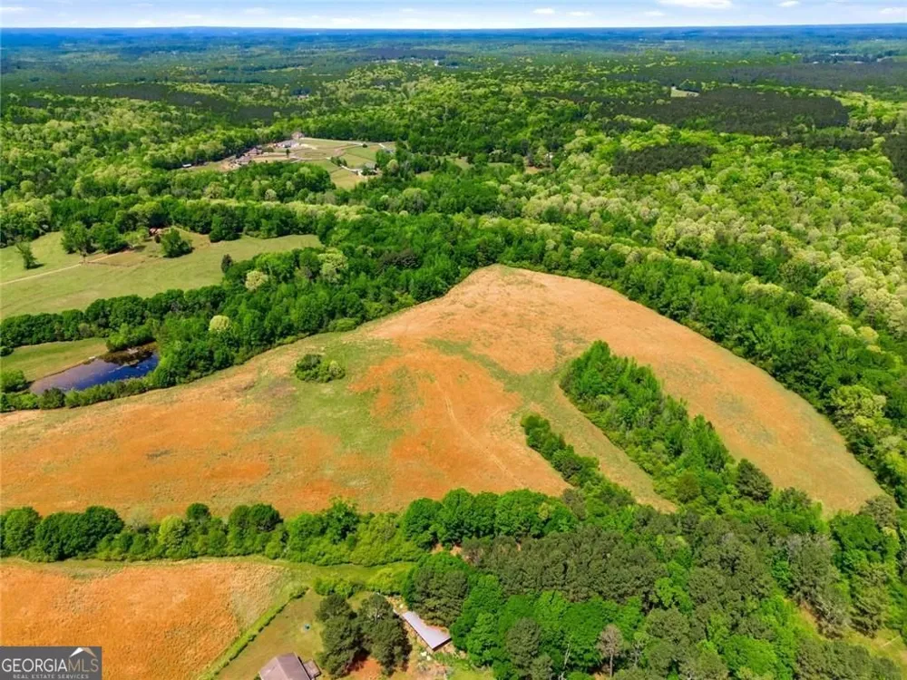 0 Hwy 330 Statham, GA 30666