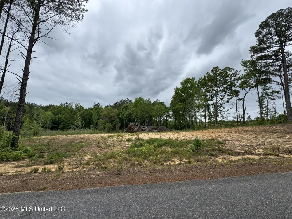 NE Allred Road Eupora, MS 39744