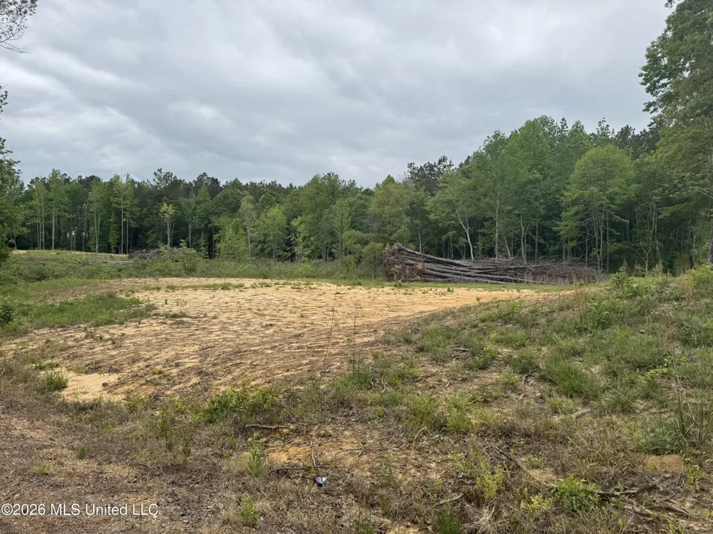 NE Allred Road Eupora, MS 39744