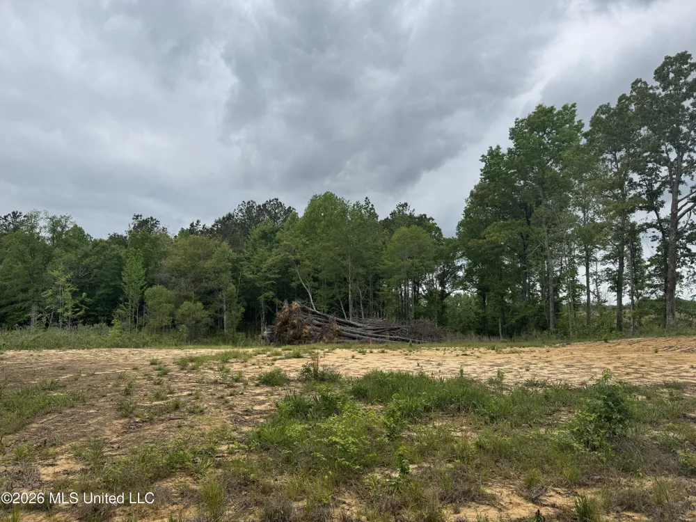 NE Allred Road Eupora, MS 39744