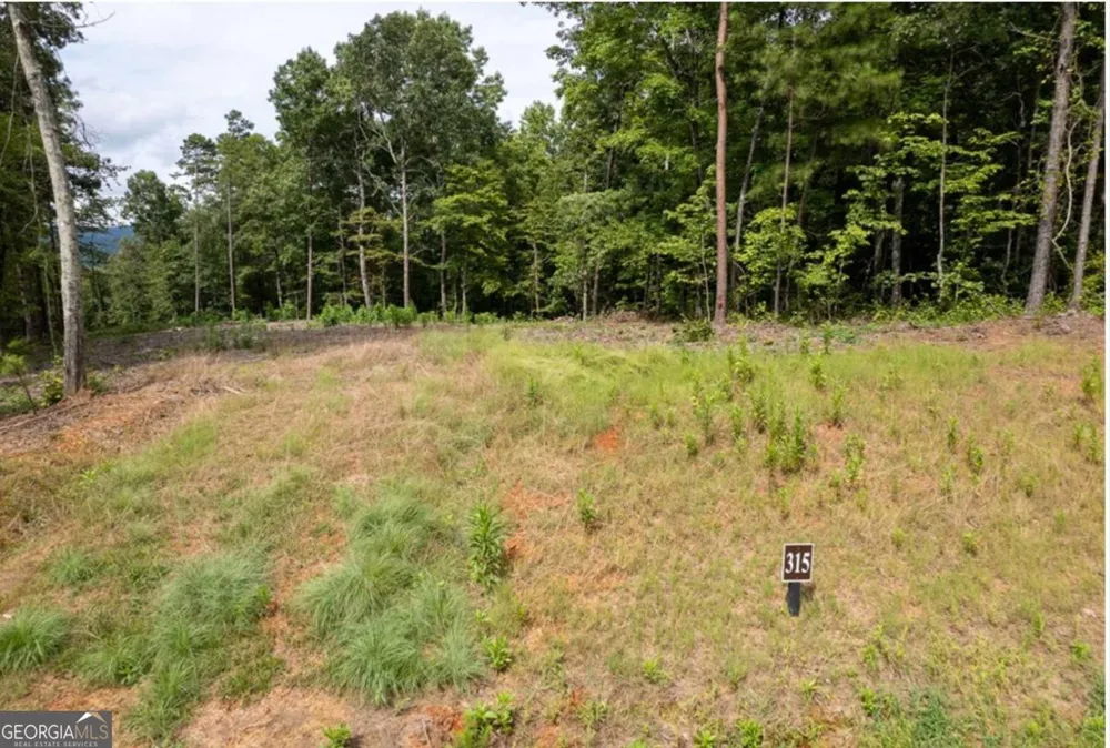 LOT 315 Pebble TRCE Talking Rock, GA 30175