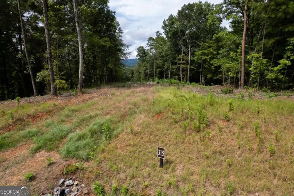 LOT 315 Pebble TRCE Talking Rock, GA 30175
