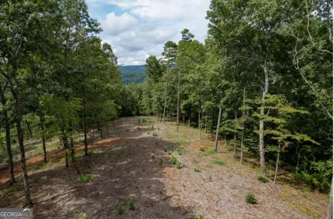 LOT 315 Pebble TRCE