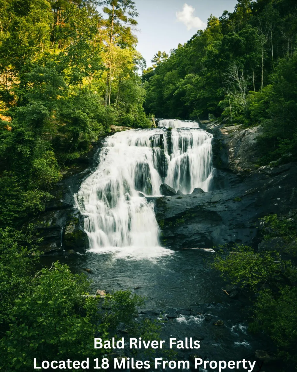 669 Pond Ridge Road Tellico Plains, TN 37385