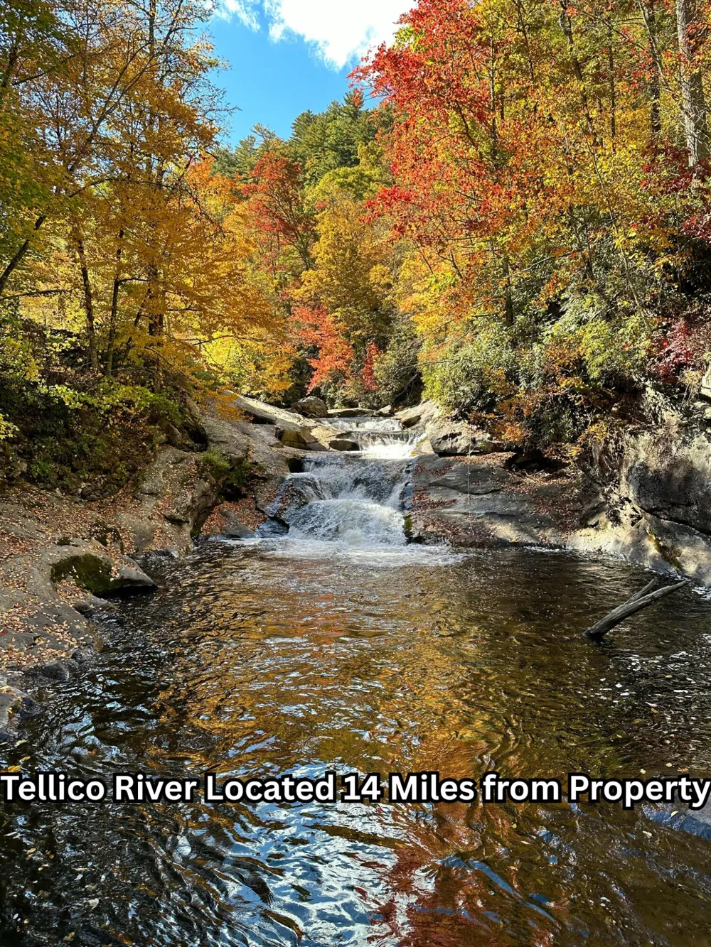 669 Pond Ridge Road Tellico Plains, TN 37385
