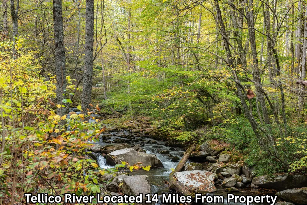 669 Pond Ridge Road Tellico Plains, TN 37385
