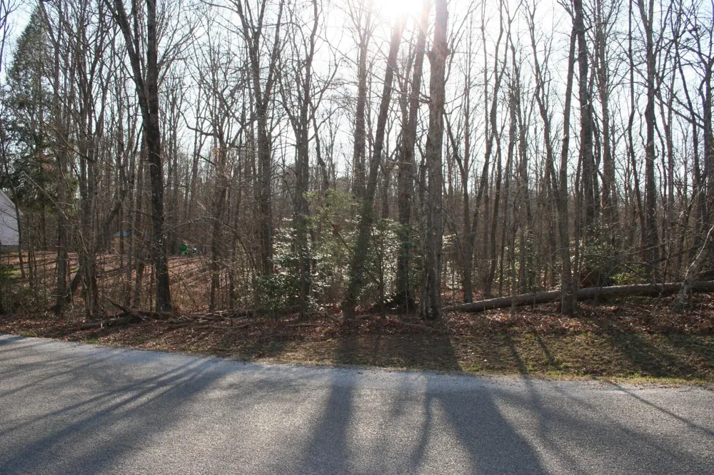 18th Avenue S Gruetli Laager, TN 37339