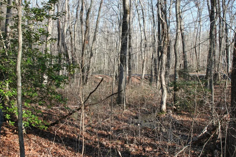 18th Avenue S Gruetli Laager, TN 37339