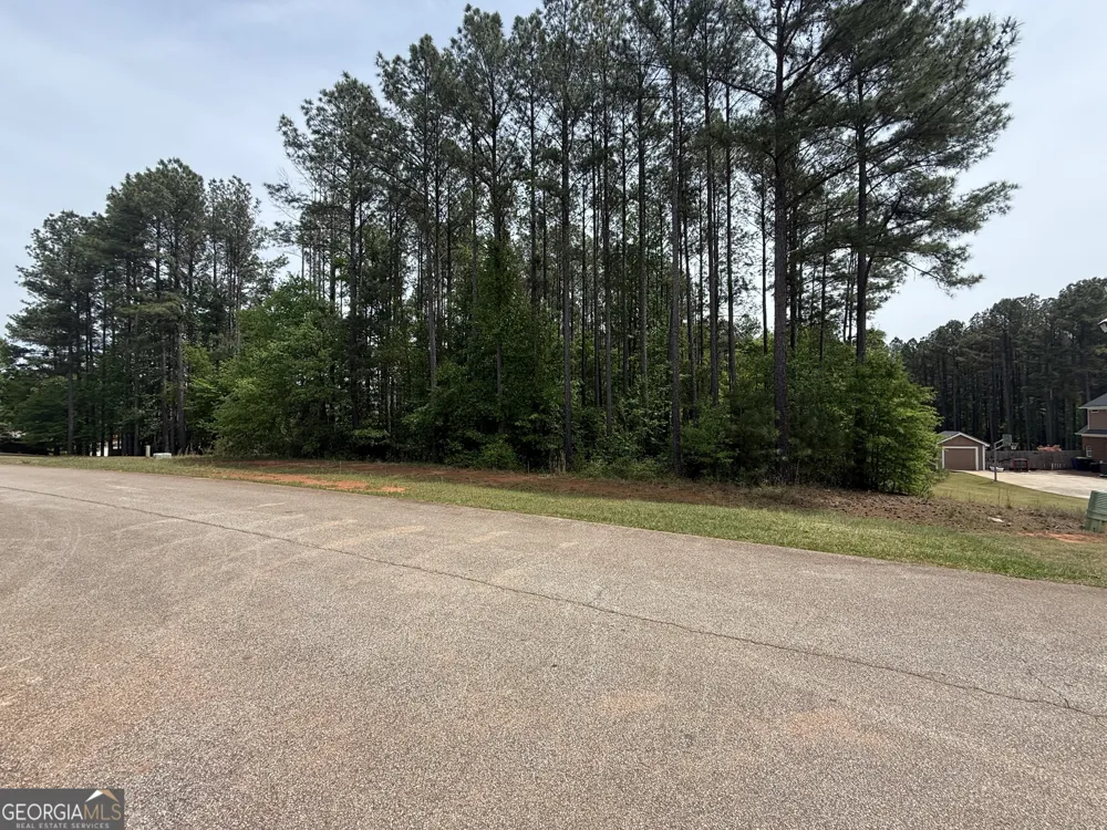 30 Mattie CT Mansfield, GA 30055