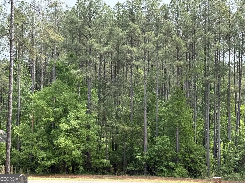30 Mattie CT Mansfield, GA 30055