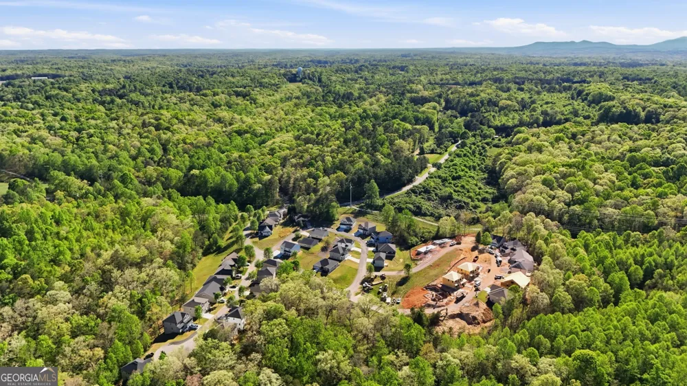 139 Saluda DR Demorest, GA 30535