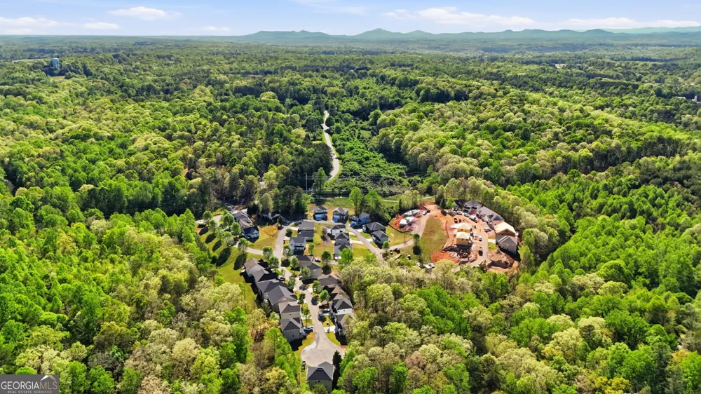 139 Saluda DR Demorest, GA 30535