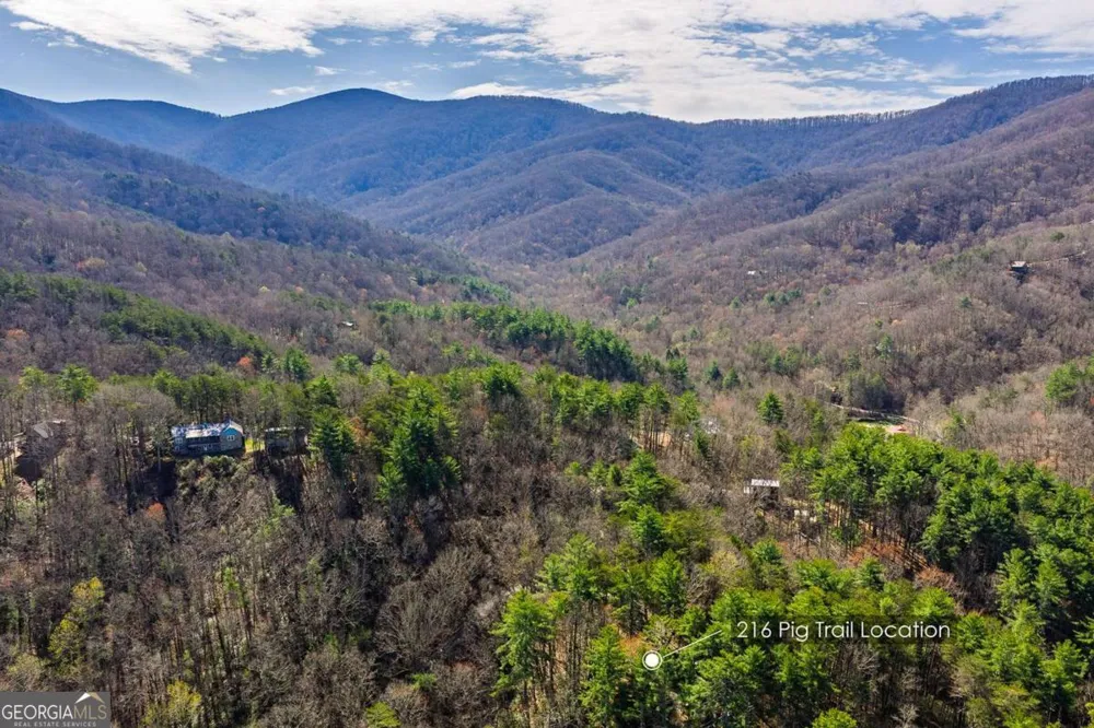 216 Pig TRL Cherry Log, GA 30522