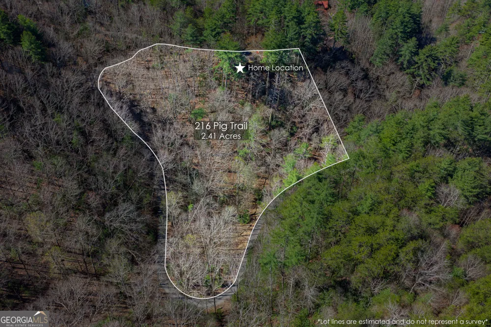 216 Pig TRL Cherry Log, GA 30522