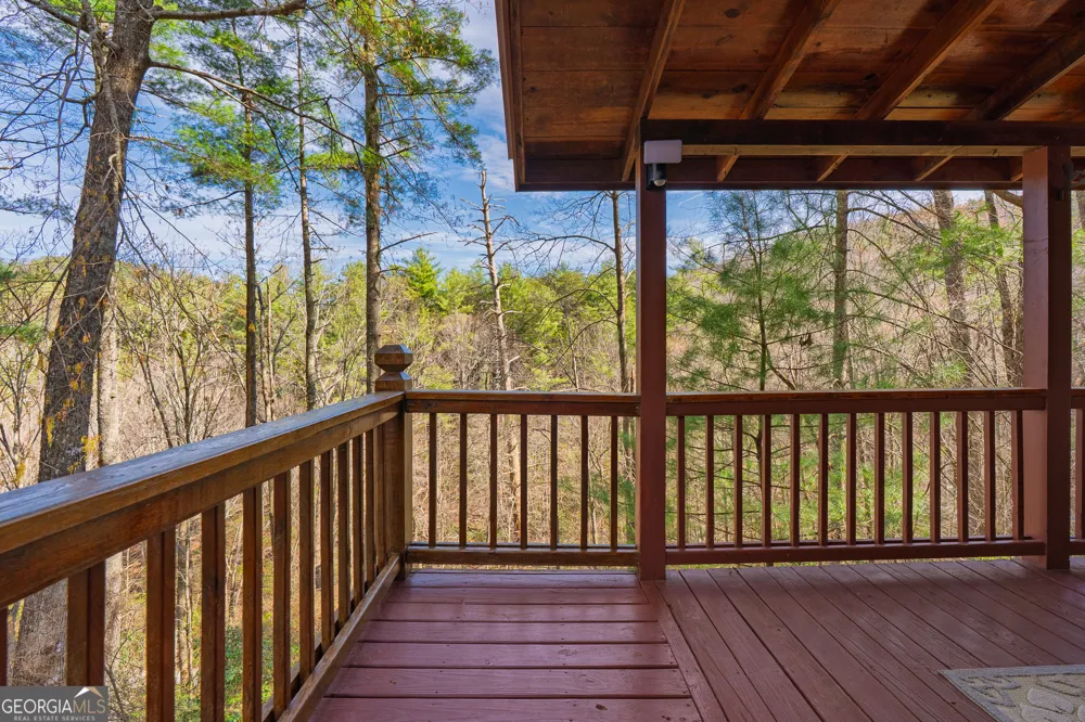 216 Pig TRL Cherry Log, GA 30522