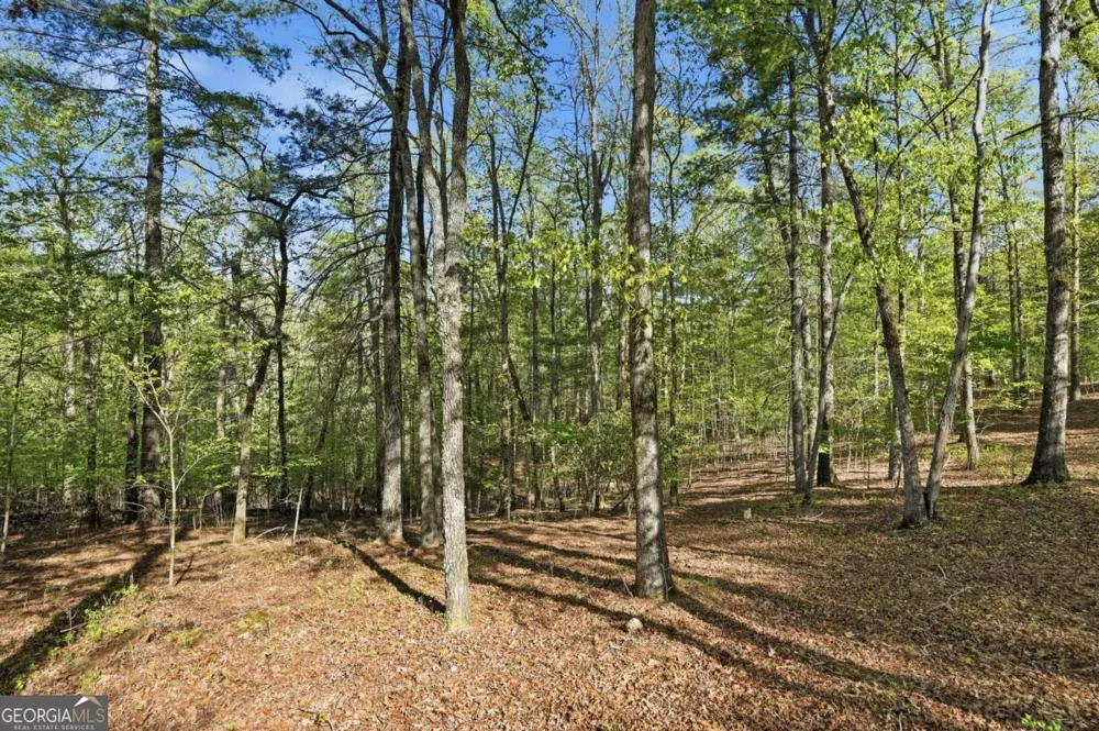 0 Mill Trace CT Cleveland, GA 30528